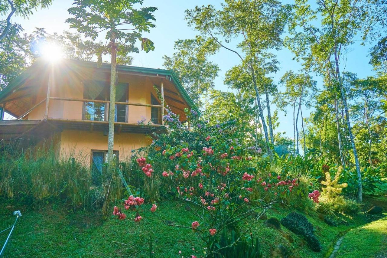Manoas Bed & Breakfast Uvita Dış mekan fotoğraf