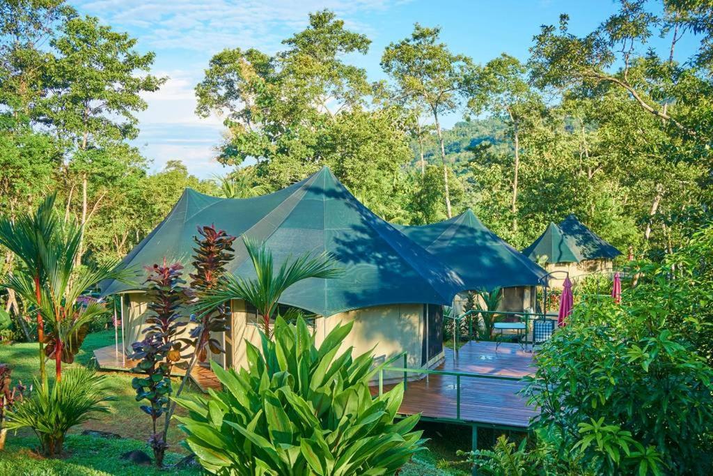Manoas Bed & Breakfast Uvita Dış mekan fotoğraf