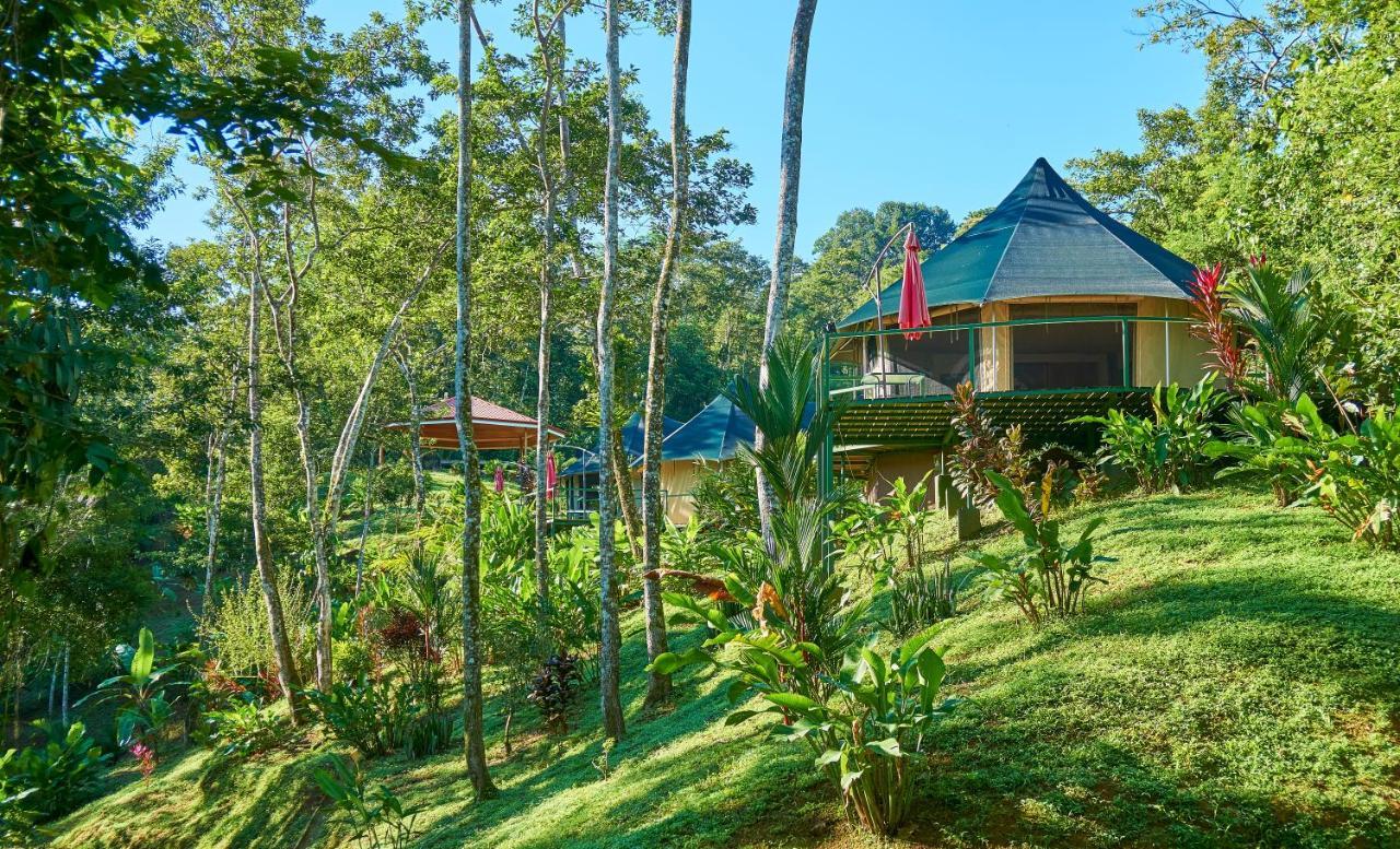 Manoas Bed & Breakfast Uvita Dış mekan fotoğraf