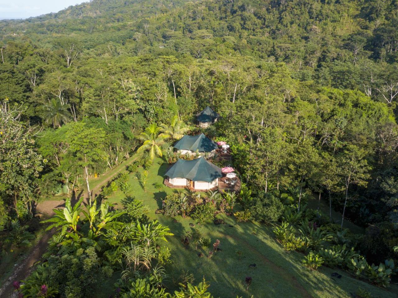 Manoas Bed & Breakfast Uvita Dış mekan fotoğraf
