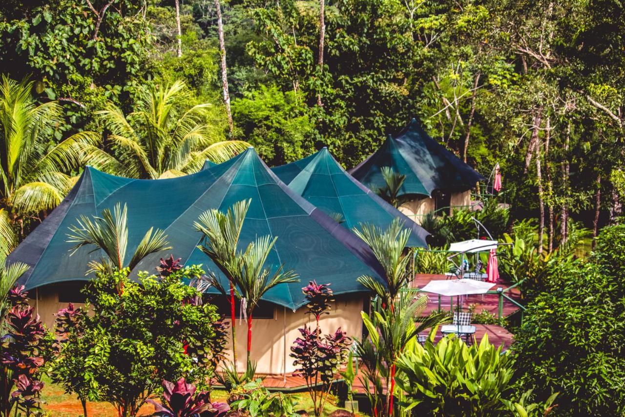 Manoas Bed & Breakfast Uvita Dış mekan fotoğraf